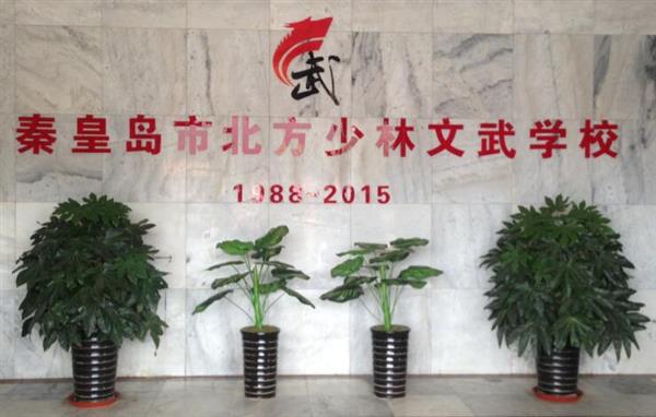 秦皇島北方少林文武學(xué)校就業(yè)如何？這答案你放心！