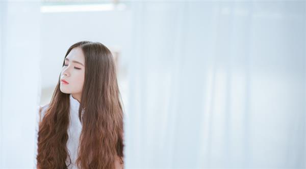 石家莊東方學(xué)院都開設(shè)了哪些專業(yè)？