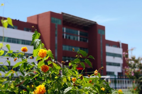 通過單招考取大學(xué)有哪些優(yōu)勢？