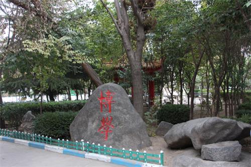  山東人民專修學(xué)院怎樣安排學(xué)生就業(yè)？