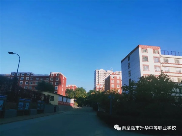 學(xué)習(xí)電子商務(wù)專(zhuān)業(yè)畢業(yè)后有哪些就業(yè)方向？