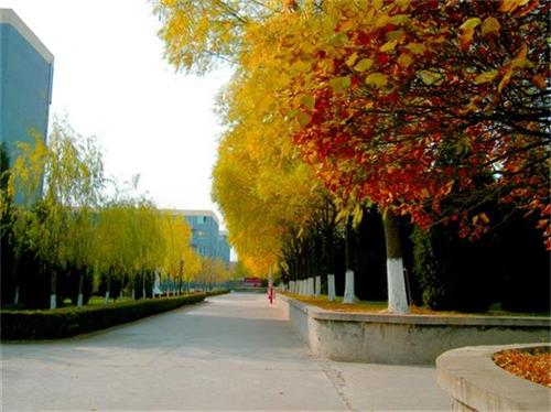 北京現(xiàn)代體育學(xué)院、航空乘務(wù)學(xué)院設(shè)施好嗎？
