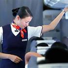 航空服務(wù)（票務(wù)、安檢方向）、航空乘務(wù)定向委培